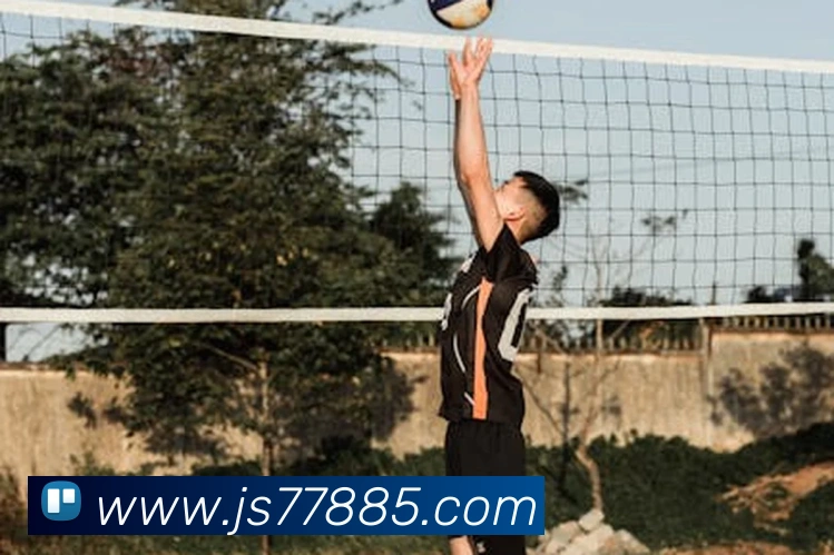 金沙国际娱乐城平台生态图